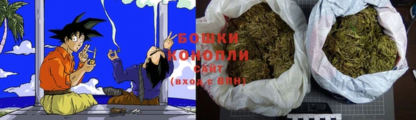 apvp Аркадак