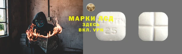 PSILOCYBIN Армянск