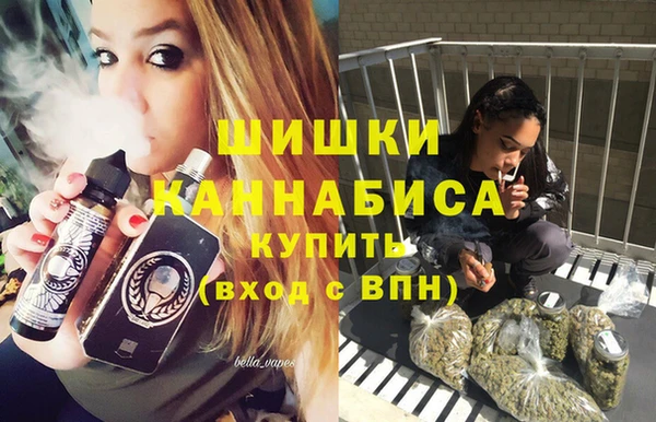 PSILOCYBIN Армянск