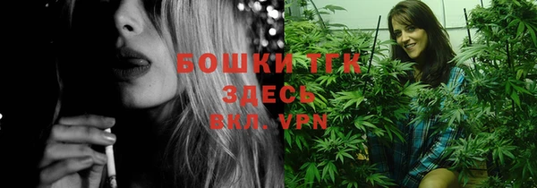 PSILOCYBIN Армянск