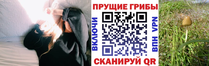 Галлюциногенные грибы GOLDEN TEACHER  гидра ссылки  Демидов  как найти закладки 